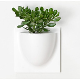 Nástenný kvetináč VertiPlants BIO White 30 cm