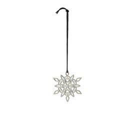 Vianočná ozdoba Christmas Frostflower Silver 7 cm