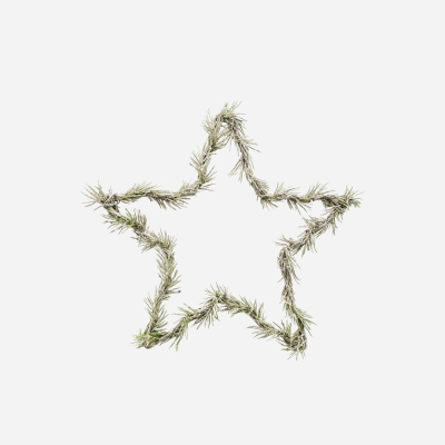 Svietiaca LED hviezda Wreath Star Nature 25 cm                    